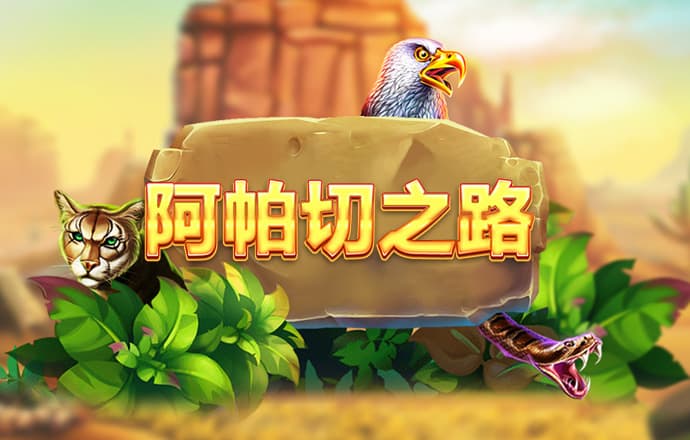 巴沙体育